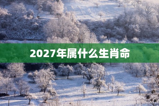 2027年属什么生肖命