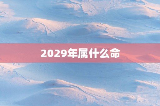 2029年属什么命