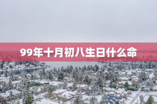 99年十月初八生日什么命