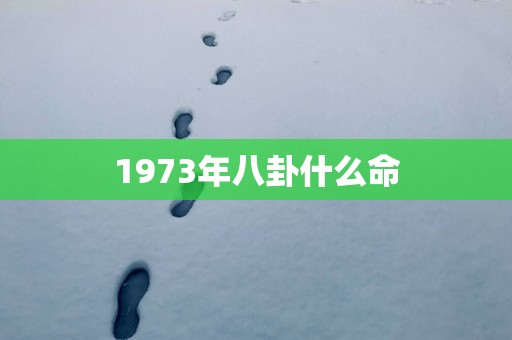 1973年八卦什么命