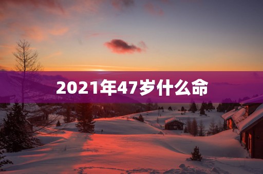 2025年47岁什么命