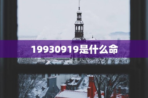 19930919是什么命
