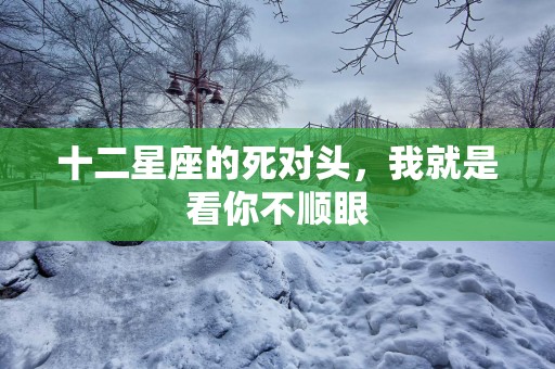 十二星座的死对头，我就是看你不顺眼