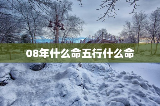 08年什么命五行什么命