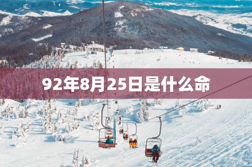 92年8月25日是什么命