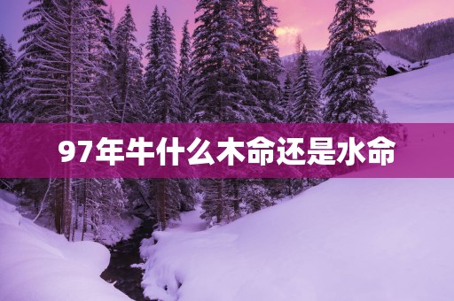97年牛什么木命还是水命