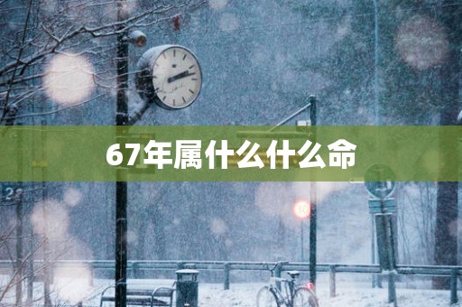 67年属什么什么命
