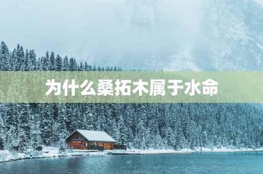 为什么桑拓木属于水命