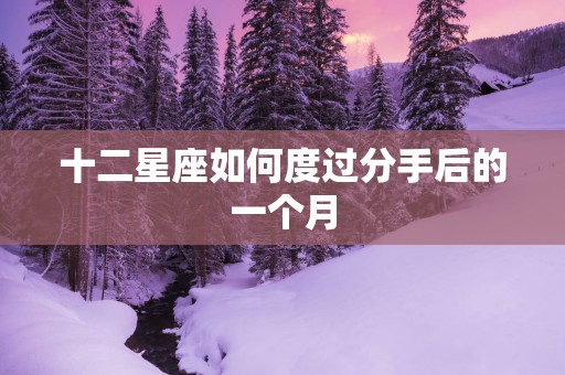 十二星座如何度过分手后的一个月