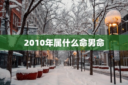2010年属什么命男命