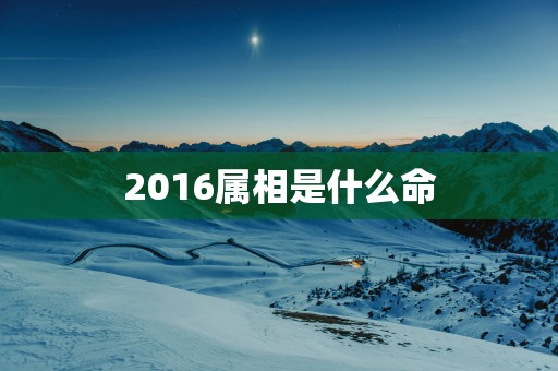 2016属相是什么命