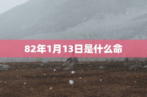 82年1月13日是什么命