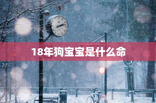 18年狗宝宝是什么命