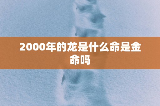 2000年的龙是什么命是金命吗