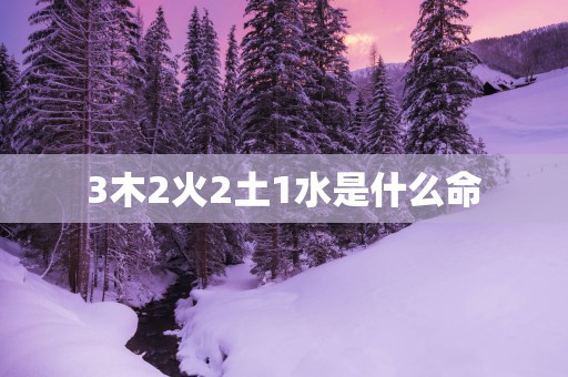 3木2火2土1水是什么命