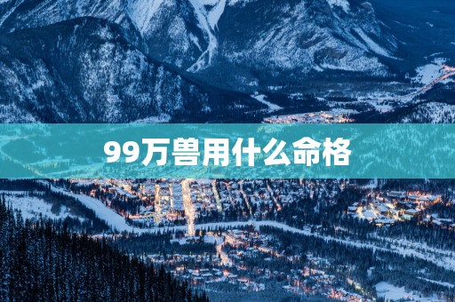 99万兽用什么命格