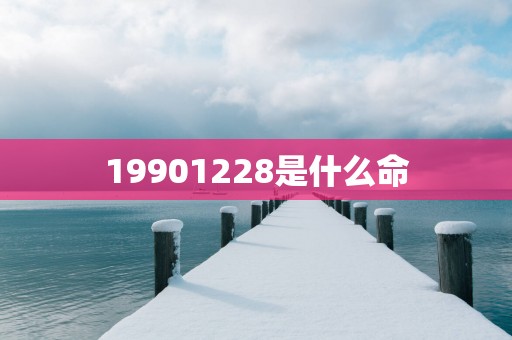 19901228是什么命