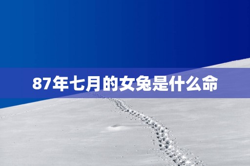 87年七月的女兔是什么命