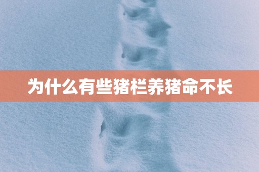 为什么有些猪栏养猪命不长