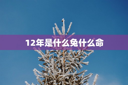 12年是什么兔什么命