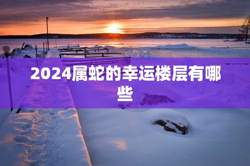 2025属蛇的幸运楼层有哪些