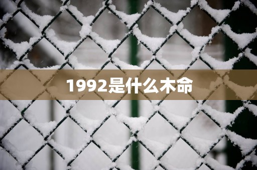 1992是什么木命