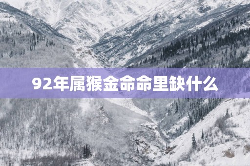 92年属猴金命命里缺什么