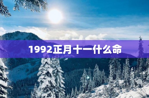 1992正月十一什么命