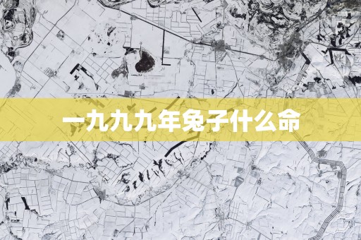 一九九九年兔子什么命