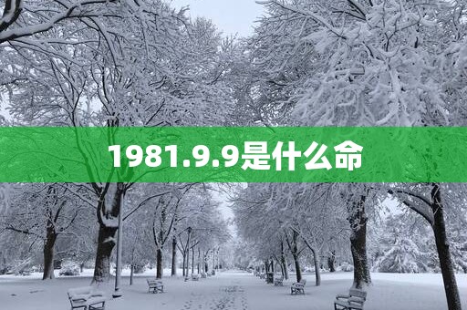 1981.9.9是什么命