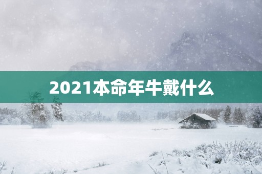 2025本命年牛戴什么
