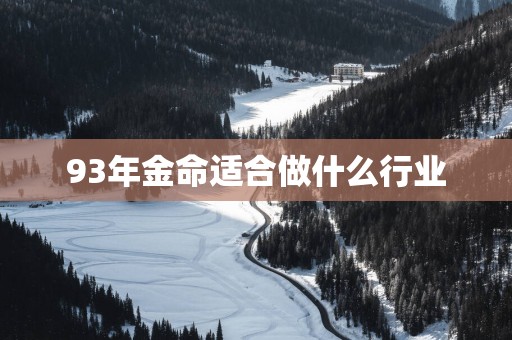 93年金命适合做什么行业