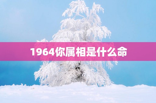 1964你属相是什么命