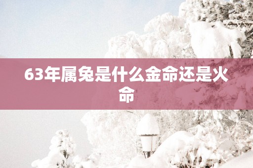 63年属兔是什么金命还是火命