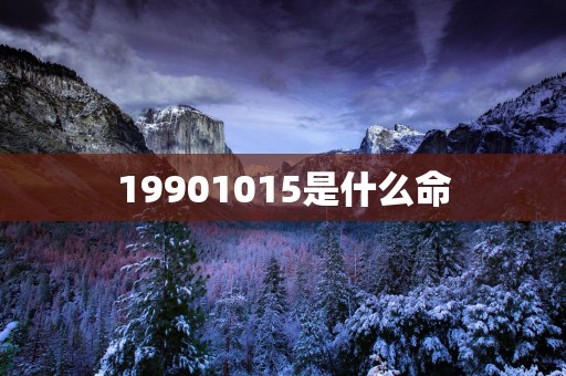 19901015是什么命