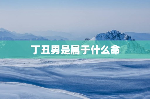 丁丑男是属于什么命