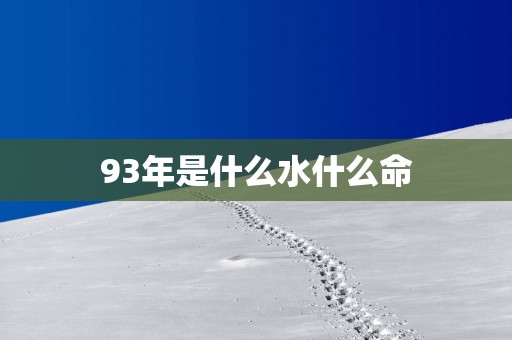 93年是什么水什么命