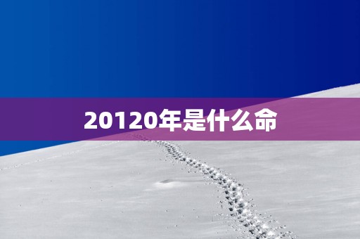20120年是什么命