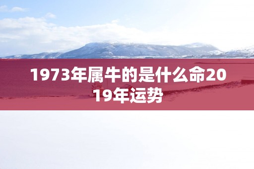 1973年属牛的是什么命2019年运势
