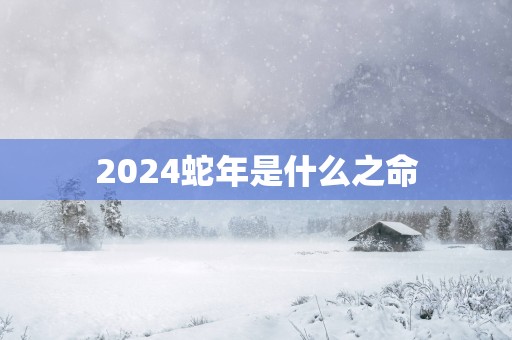 2025蛇年是什么之命