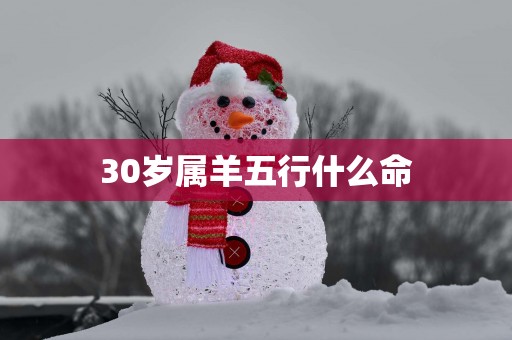 30岁属羊五行什么命