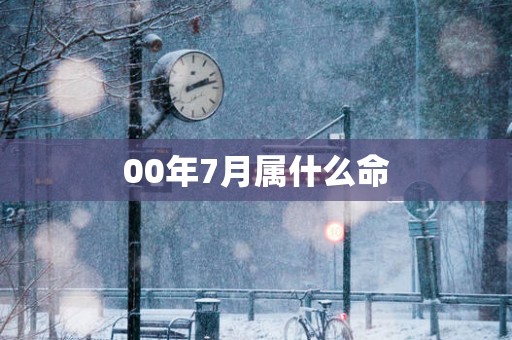 00年7月属什么命