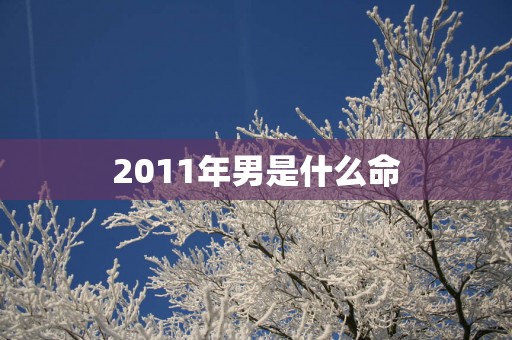 2011年男是什么命