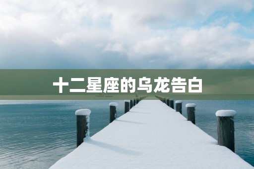 十二星座的乌龙告白