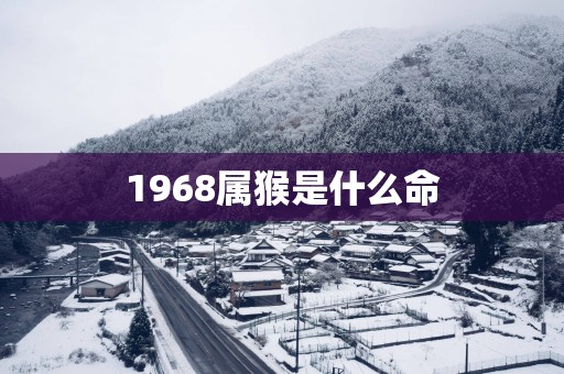 1968属猴是什么命