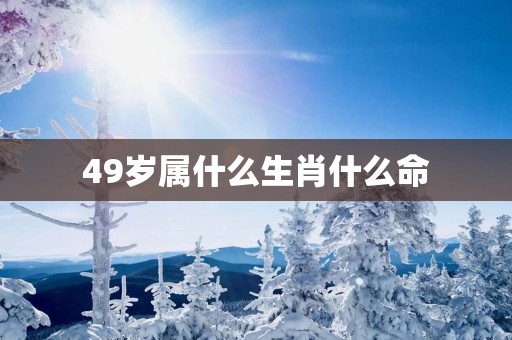 49岁属什么生肖什么命