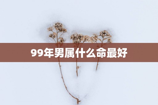 99年男属什么命最好