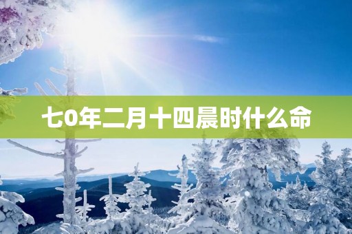七0年二月十四晨时什么命