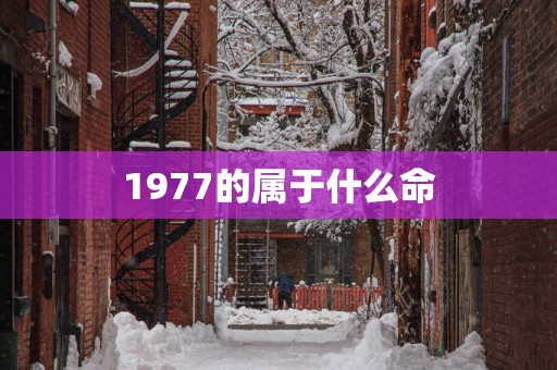 1977的属于什么命