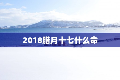 2018腊月十七什么命